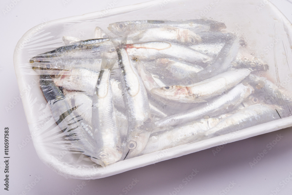 Fresh raw sardines in a white polystyrene food box isolated on w Fresh raw sardines in a white polystyrene food box isolated on w