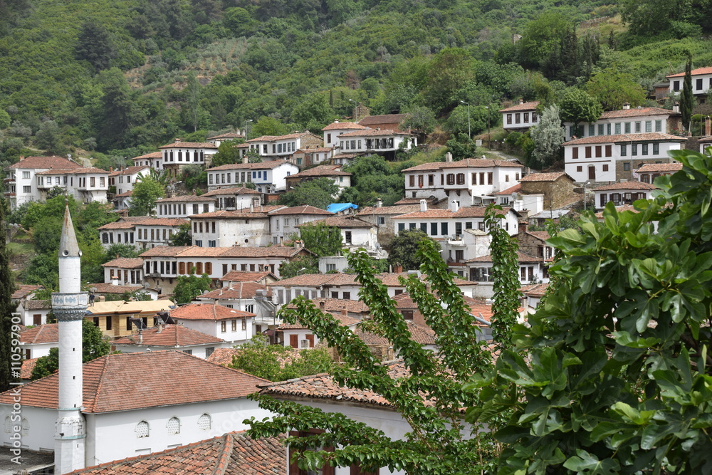 Fototapeta premium Şirince