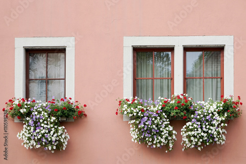 Beautiful flower baskets beneath windows in Rothenburg © philipbird123