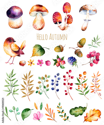 Bright collection with autumn leaves,flowers,branches,berries,acorns,blackberries, mushrooms, chestnut and little bird.Colorful autumn collection with 33 watercolor elements.Autumn collection.
