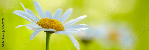 Frühling