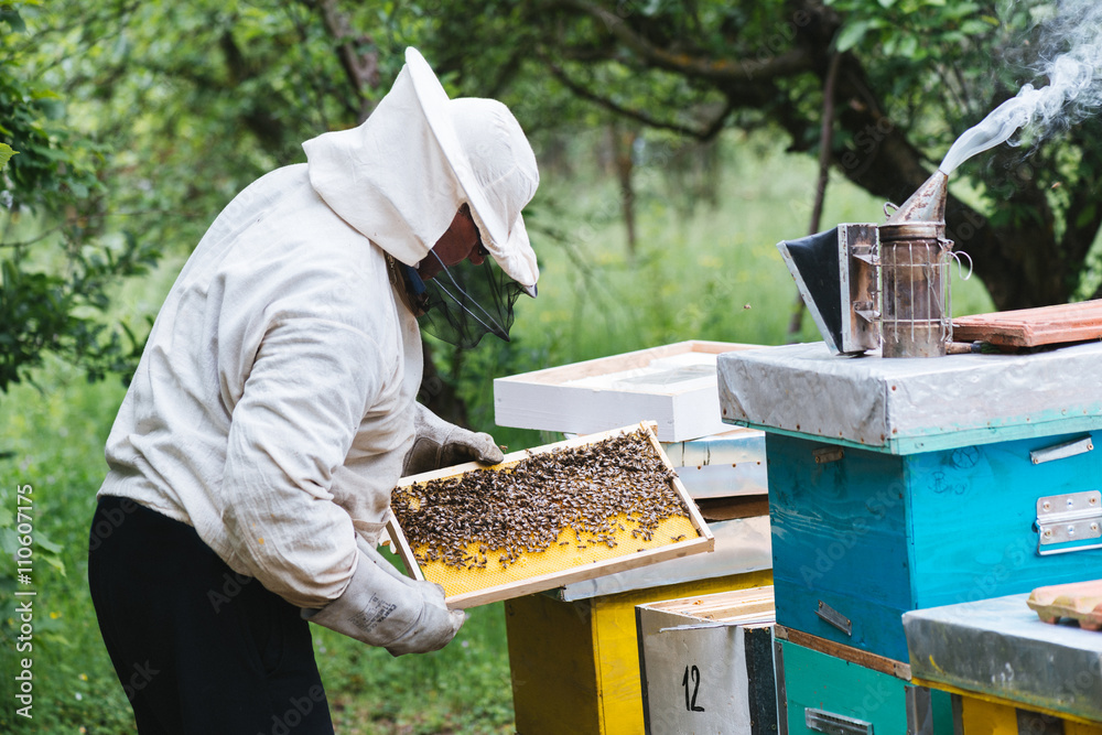 Beekeeper working with bees in beehive. Selective focus and small depth of field. Beekeeper working with bees in beehive. Selective focus and small depth of field.