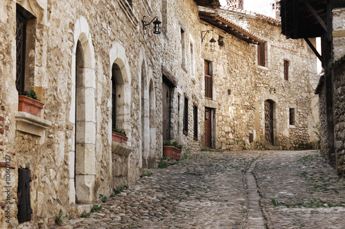Fototapeta Naklejka Na Ścianę i Meble -  Medieval town of Perouges