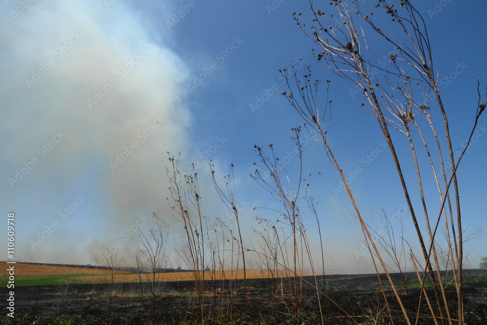 Obraz premium Prairie Fire
