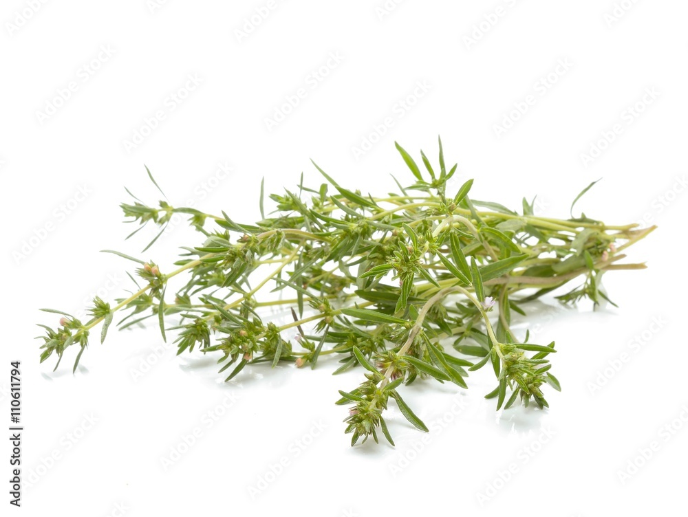 Thyme fresh herb isolated on white background Thyme fresh herb isolated on white background