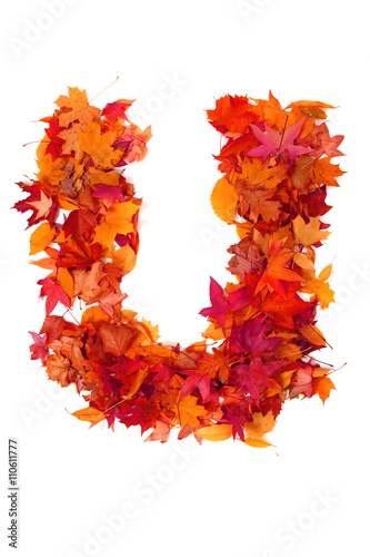 alphabet sign from autumn leaf