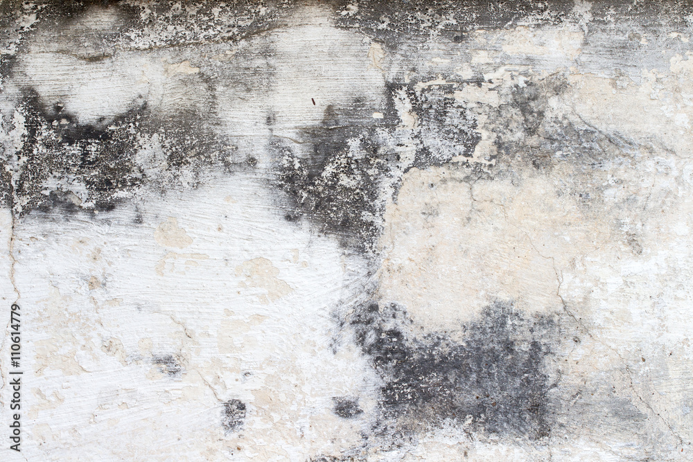 Obraz premium white concrete wall texture