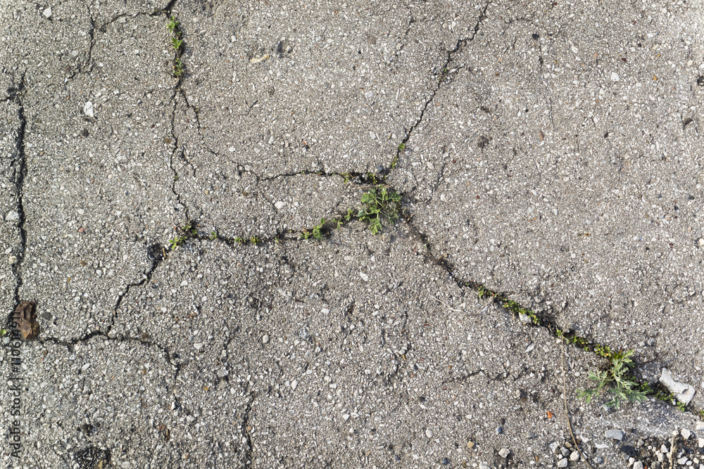 Fototapeta premium Texture of the old road with cracks