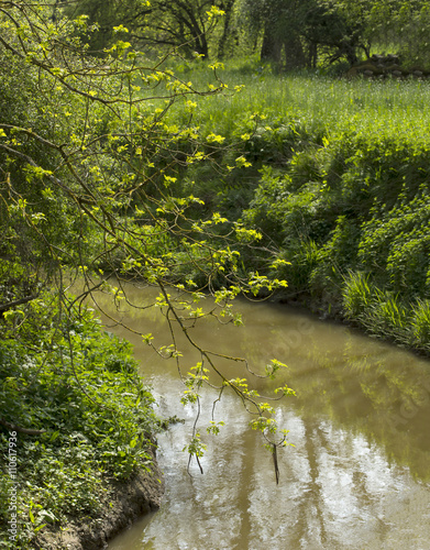 Curve in the River. A small river  calm in the late spring  passes between high banks covered in fertile green. A tree hangs down over the river catching the sunlight through its leaves.