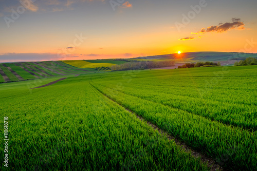 Billede på lærred Green field at beautiful sunset at Soth Moravia
