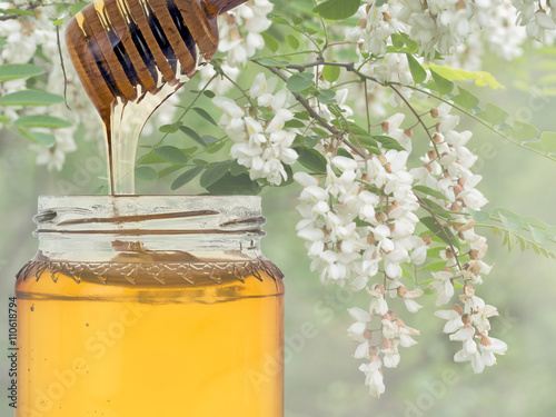 Acacia honey from Lunigiana, north Tuscany in Italy.