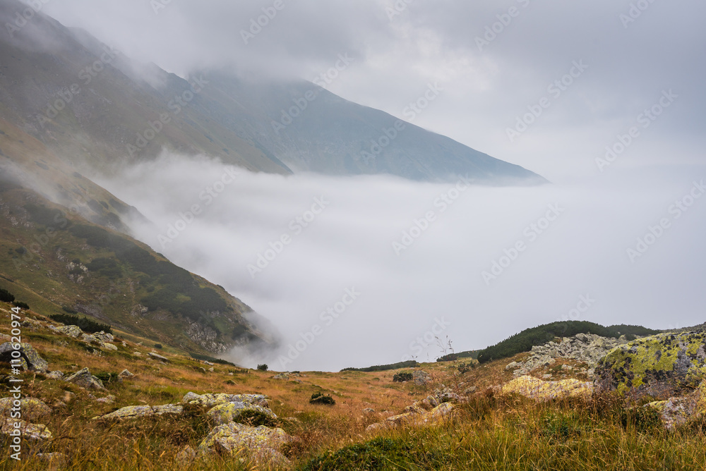 Foggy Mountain Landscape. Grass and Rocks in Foreground.