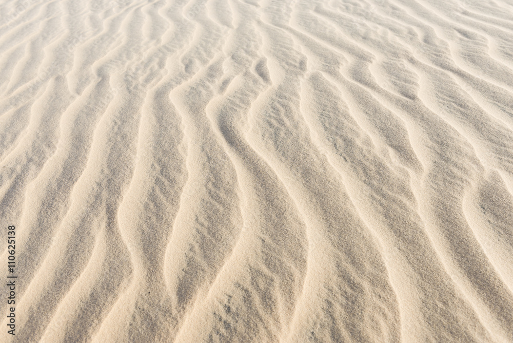 Fototapeta premium sand wave