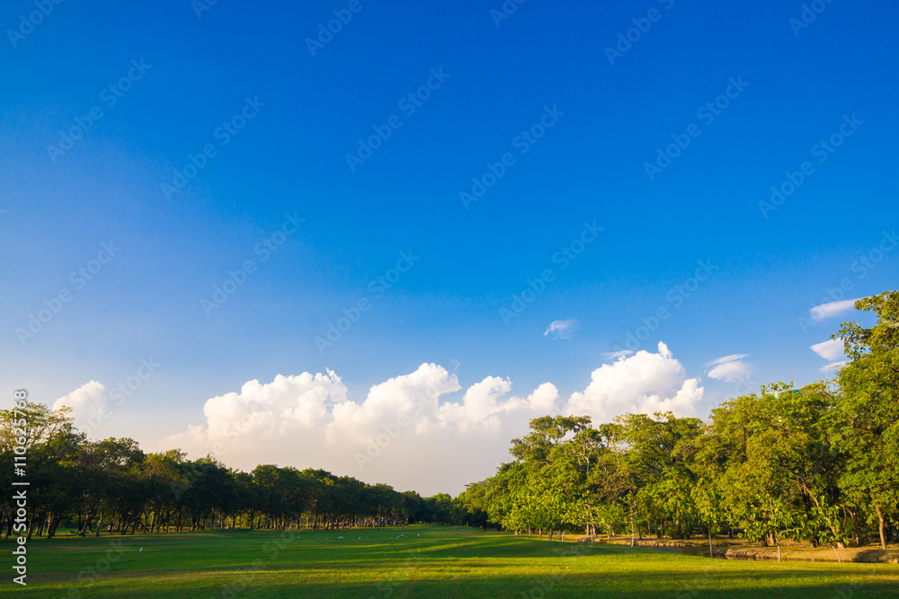 Obraz premium Central public park sun light green grass