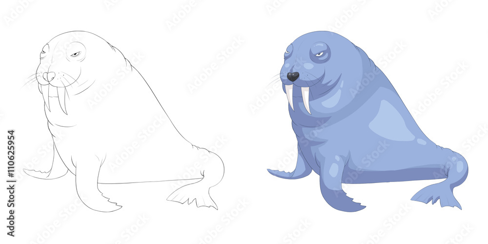Creative Illustration and Innovative Art: Animal Set: Sketch Line Art and Coloring Book: Sea Lion. Realistic Fantastic Cartoon Style Character Design, Wallpaper, Story Background, Card Design Creative Illustration and Innovative Art: Animal Set: Sketch Line Art and Coloring Book: Sea Lion. Realistic Fantastic Cartoon Style Character Design, Wallpaper, Story Background, Card Design