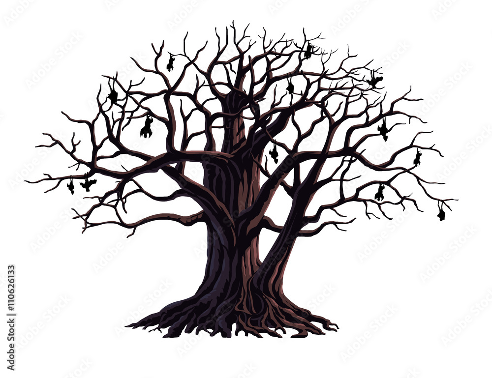 Fototapeta premium Big tree