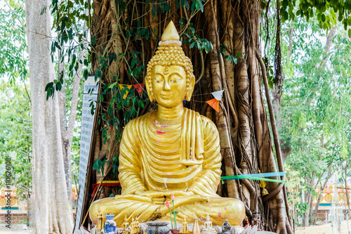Buddha image under Bodhi tree