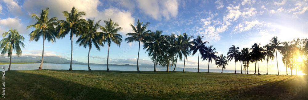 Panoramic landscape view of a Row of palm trees in Port Douglas Panoramic landscape view of a Row of palm trees in Port Douglas