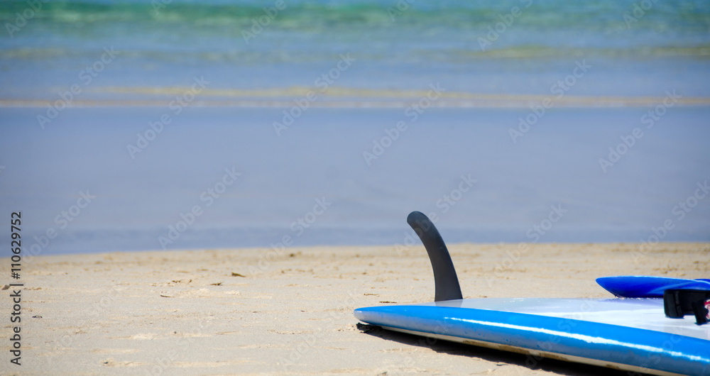 Boogie board abandoned on a sand at Kaunaoa beach Boogie board abandoned on a sand at Kaunaoa beach