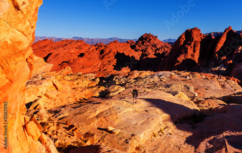 Valley of Fire © Galyna Andrushko