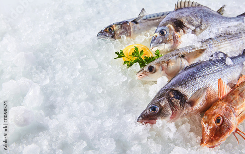 Canvas Print Variety of Raw Fish Chilling on Bed of Ice