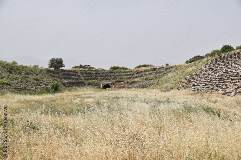 Obraz premium Afrodisias