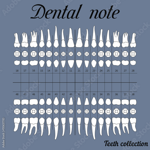 Dental note for dental clinic
