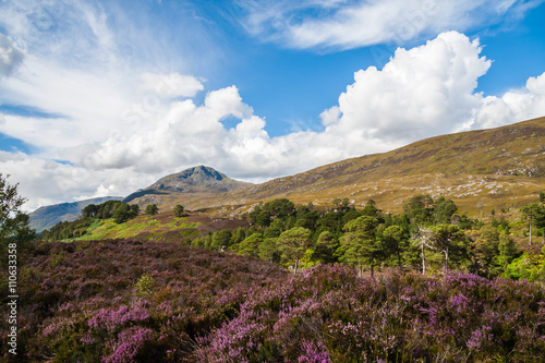 Glen Affic Scotland