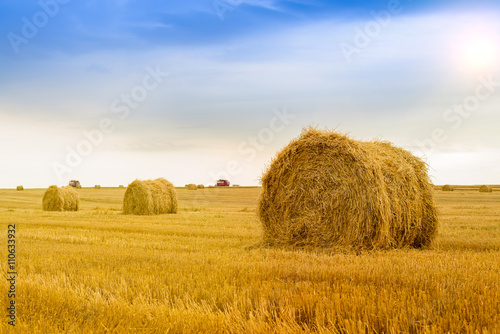 Straw bale on the field after harvest on a sunny day. Focus fore