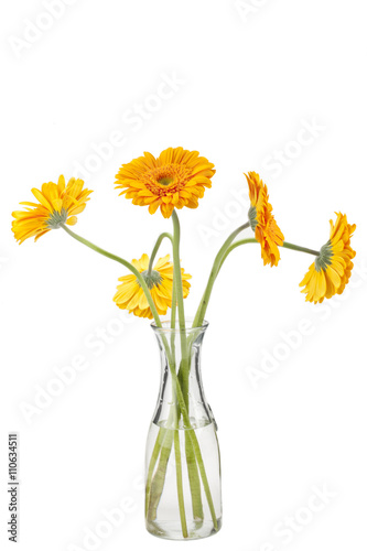 Fototapeta Naklejka Na Ścianę i Meble -  plenty of daisies on the flower vase