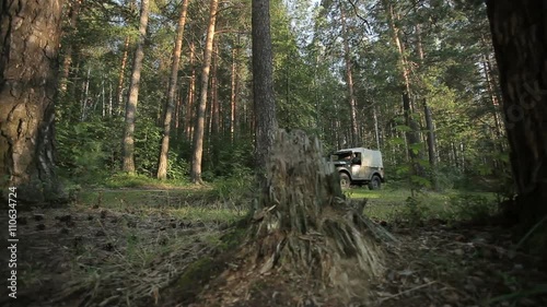 rare jeep driving on a forest road