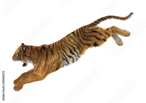 Fototapeta Naklejka Na Ścianę i Meble -  3D Rendering Tiger on White