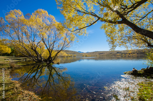 Fototapeta Naklejka Na Ścianę i Meble -  Beautiful autumn landscape in Lake McGregor,Canterbury Region, New Zealand