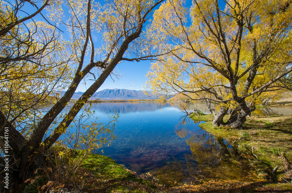 Beautiful autumn landscape in Lake McGregor,Canterbury Region, New Zealand Beautiful autumn landscape in Lake McGregor,Canterbury Region, New Zealand