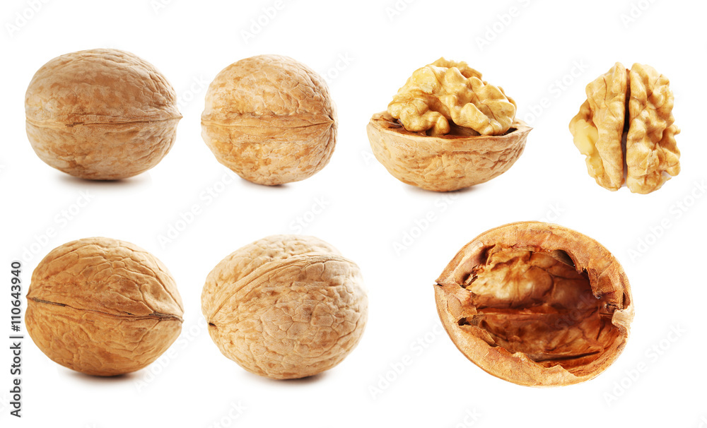 Walnut isolated on a white background, collage Walnut isolated on a white background, collage