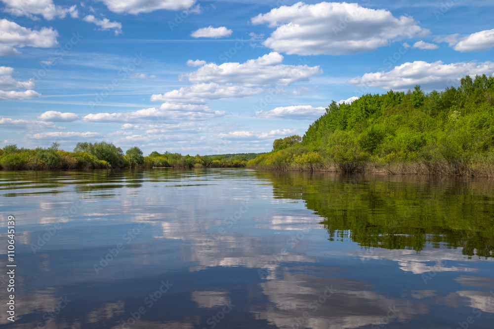 Plants and bushes growing along the banks of the  River, Russia