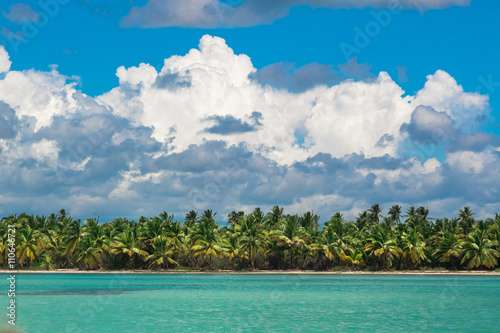 Palm trees on sea shore at beautiful sunny day.  © fazeful