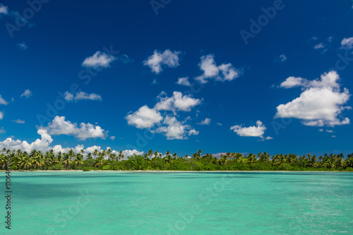 Panoramic view of Exotic Palm trees and lagoon on the tropical Island beach © fazeful