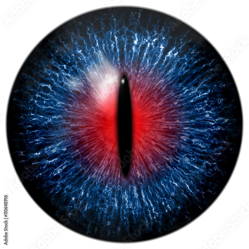 Fototapeta Naklejka Na Ścianę i Meble -  Blue red cat, alien, crocodile or reptile eye with black narrow pupil