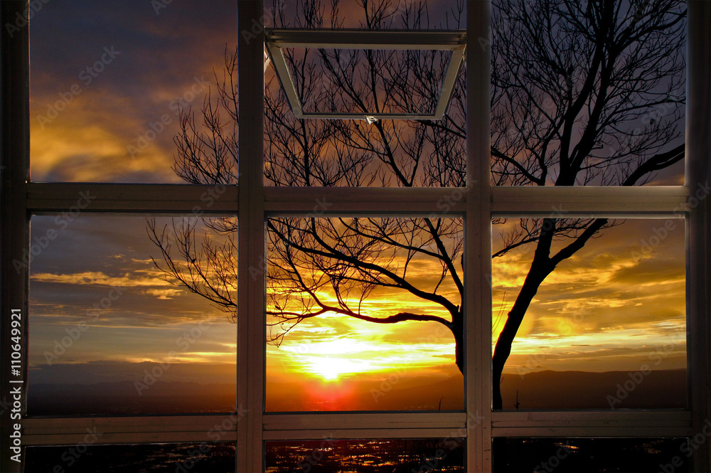 Open window with sun beams thorough branches of tree