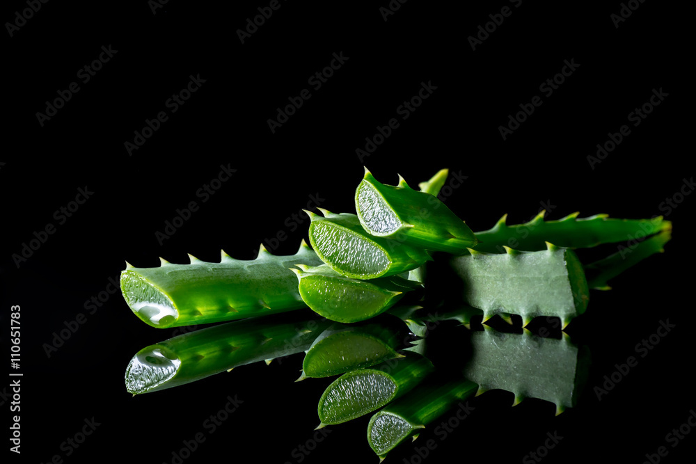 Aloe plant green slice with reflection close-up macro isolated on a black background 
