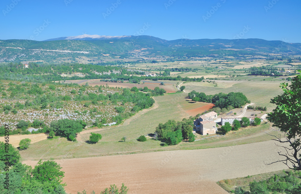 Blick auf den berühmten Berg Mont Ventoux in der Provence,Südfrankreich