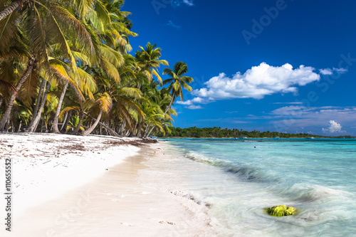 Fototapeta Naklejka Na Ścianę i Meble -  Beautiful caribbean beach on Saona island, Dominican Republic