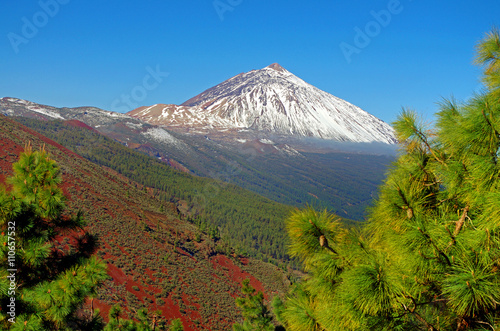 El Teide National Park, Tenerife, Canary Islands, Spain