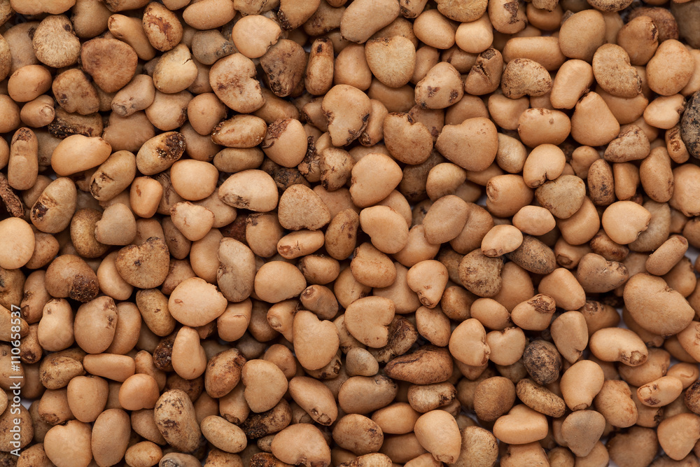 Organic Indian Guava (Psidium guajava) seeds. Macro closeup background texture. Top View.