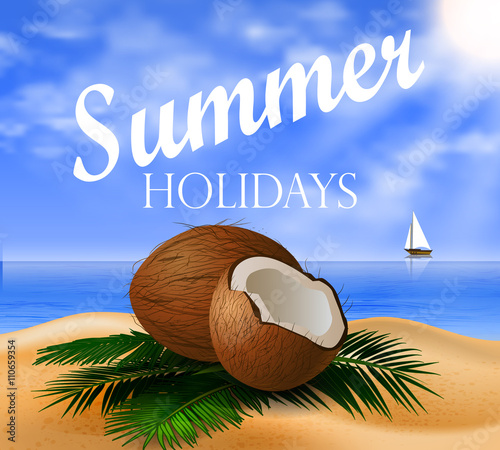 Coconut tropical nut background