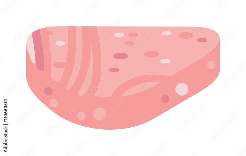 Piece of meat vector ill.ustration. Piece of meat vector ill.ustration.