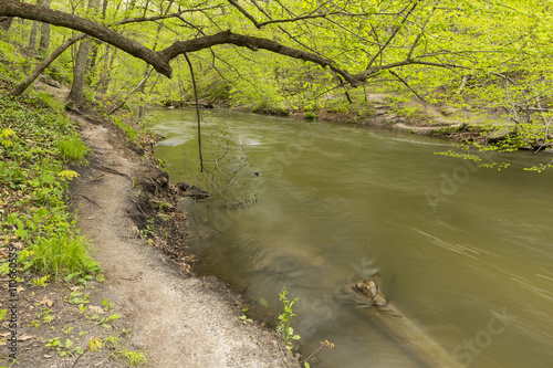 Fototapeta Naklejka Na Ścianę i Meble -  Minneopa River / A river in the woods during spring.