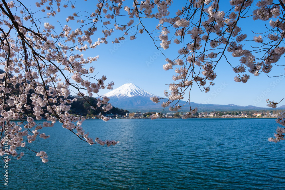 Mt.Fuji with Cherry blossom