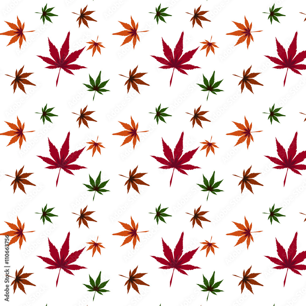 Background of colored maple leaves Background of colored maple leaves